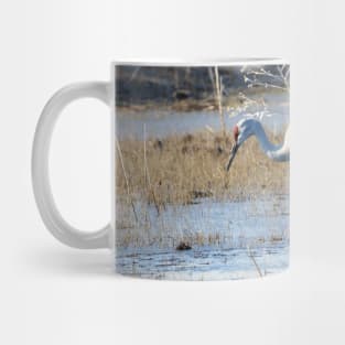 Sandhill Crane in Frozen Malheur NWR Mug